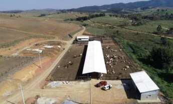 Imagem 4: EXCELENTE FAZENDA COM SISTEMA DE CONFINAMENTO A VENDA NA REGIÃO DE SÃO JOSÉ DOS CAMPOS - S