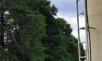 Imagem 5: EXCELENTE SÍTIO A VENDA EM ITAPETININGA-SP ?? Área Total: 22 Hectares ou 9,09 Alqueires