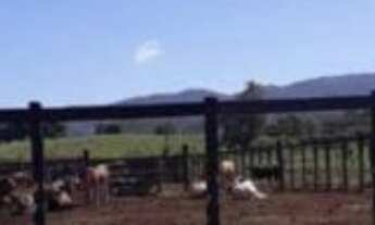 Imagem 2: EXCELENTE FAZENDA COM SISTEMA DE CONFINAMENTO A VENDA NA REGIÃO DE SÃO JOSÉ DOS CAMPOS - S