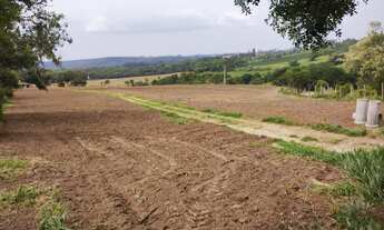 Imagem 6: EXCELENTE SÍTIO A VENDA NA REGIÃO DE ITAPETININGA-SP ?? Área Total: 32,91 Hectares ou 13
