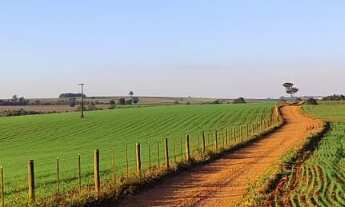 Imagem 4: EXCELENTE SÍTIO A VENDA NA REGIÃO DE TATUÍ-SP ?? Dupla Aptidão: Agricultura e Pecuária