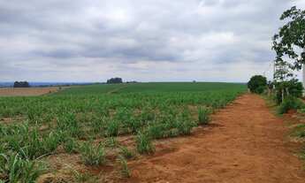 Imagem: EXCELENTE FAZENDA A VENDA EM ITAPETININGA-SP