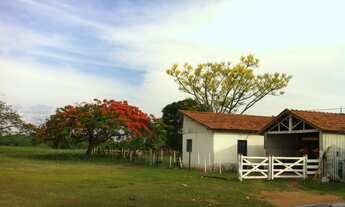 Imagem: EXCELENTE FAZENDA A VENDA NA PECUÁRIA NA