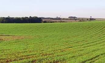 Imagem 5: EXCELENTE SÍTIO A VENDA NA REGIÃO DE TATUÍ-SP ?? Dupla Aptidão: Agricultura e Pecuária