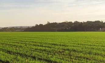 Imagem 7: EXCELENTE SÍTIO A VENDA NA REGIÃO DE TATUÍ-SP ?? Dupla Aptidão: Agricultura e Pecuária