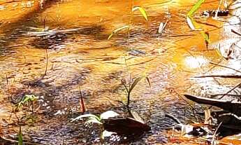 Imagem 3: Chácara à venda em Itapetininga-SP: 3 quartos, 1 suíte, 3 salas, 3 banheiros, 5 vagas de g