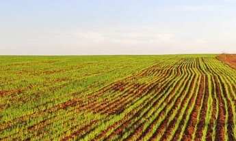 Imagem 2: EXCELENTE SÍTIO A VENDA NA REGIÃO DE TATUÍ-SP ?? Dupla Aptidão: Agricultura e Pecuária