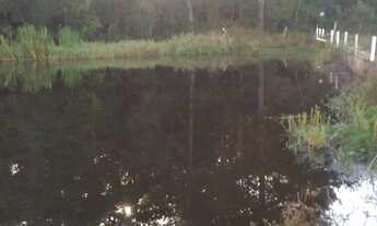 Imagem 4: Sitio de 06 alqueires em pilar do Sul, com casa grande, casa de caseiro, poço artesiano