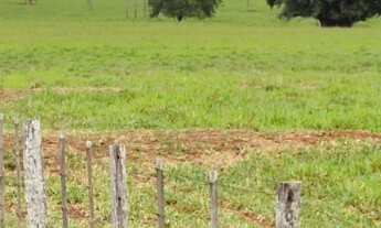 Imagem 7: EXCELENTE FAZENDA A VENDA NA PECUÁRIA NA REGIÃO DE PRESIDENTE PRUDENTE - SP ?? Área Tota