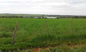 Imagem 5: EXCELENTE FAZENDA A VENDA NA PECUÁRIA NA REGIÃO DE PRESIDENTE PRUDENTE - SP ?? Área Tota