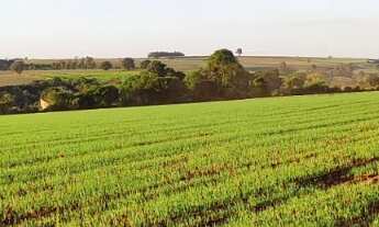 Imagem 3: EXCELENTE SÍTIO A VENDA NA REGIÃO DE TATUÍ-SP ?? Dupla Aptidão: Agricultura e Pecuária