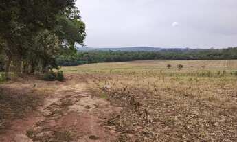 Imagem 5: EXCELENTE SÍTIO A VENDA NA REGIÃO DE ITAPETININGA-SP ?? Área Total: 32,91 Hectares ou 13