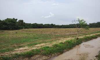 Imagem 3: EXCELENTE SÍTIO A VENDA NA REGIÃO DE ITAPETININGA-SP ?? Área Total: 32,91 Hectares ou 13