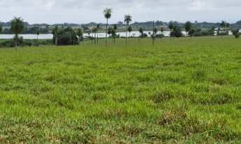 Imagem 3: EXCELENTE FAZENDA A VENDA NA PECUÁRIA NA REGIÃO DE PRESIDENTE PRUDENTE - SP ?? Área Tota