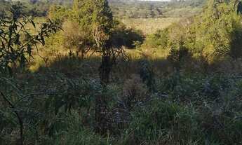 Imagem 6: Sitio de 06 alqueires em pilar do Sul, com casa grande, casa de caseiro, poço artesiano