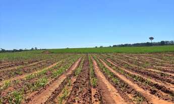 Imagem 3: EXCELENTE FAZENDA EM CANA A VENDA NA REGIÃO DE PRESIDENTE PRUDENTE - SP* ?? Área Total