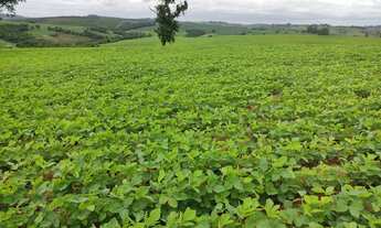 Imagem 2: EXCELENTE SÍTIO A VENDA NA REGIÃO DE SOROCABA-SP* ?? Área Total: 20 Alqueires Agricul