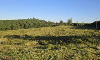 Imagem 3: EXCELENTE SÍTIO A VENDA NA REGIÃO DE ITAPETININGA-SP* ?? Área Total: 18,5 Alqueires P
