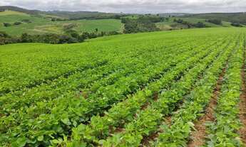 Imagem: EXCELENTE SÍTIO A VENDA NA REGIÃO DE SOROCABA-SP