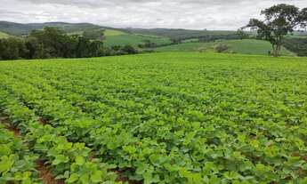 Imagem 6: EXCELENTE SÍTIO A VENDA NA REGIÃO DE SOROCABA-SP* ?? Área Total: 20 Alqueires Agricul