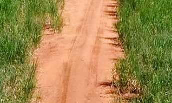 Imagem 5: EXCELENTE FAZENDA EM CANA A VENDA NA REGIÃO DE PRESIDENTE PRUDENTE - SP* ?? Área Total