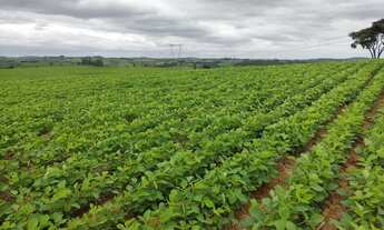 Imagem 3: EXCELENTE SÍTIO A VENDA NA REGIÃO DE SOROCABA-SP* ?? Área Total: 20 Alqueires Agricul