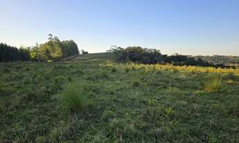 Imagem 4: EXCELENTE SÍTIO A VENDA NA REGIÃO DE ITAPETININGA-SP* ?? Área Total: 18,5 Alqueires P