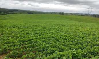 Imagem 7: EXCELENTE SÍTIO A VENDA NA REGIÃO DE SOROCABA-SP* ?? Área Total: 20 Alqueires Agricul