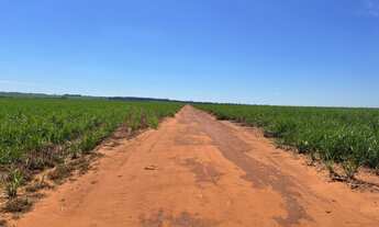 Imagem 2: EXCELENTE FAZENDA EM CANA A VENDA NA REGIÃO DE PRESIDENTE PRUDENTE - SP* ?? Área Total
