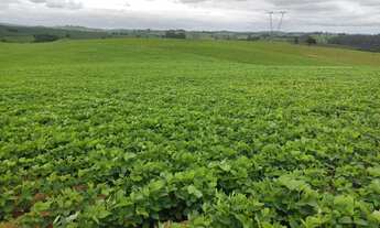 Imagem 4: EXCELENTE SÍTIO A VENDA NA REGIÃO DE SOROCABA-SP* ?? Área Total: 20 Alqueires Agricul