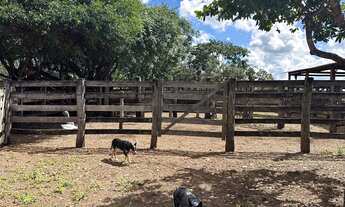 Imagem 7: Oportunidade única: Fazenda de luxo à venda em Área Rural de Luziânia-GO, com 3 quartos, 3