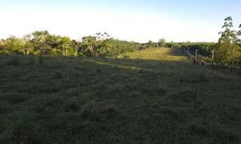 Imagem 2: EXCELENTE SÍTIO A VENDA NA REGIÃO DE ITAPETININGA-SP* ?? Área Total: 18,5 Alqueires P