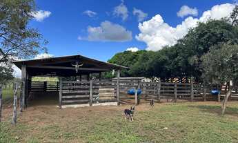Imagem 3: Oportunidade única: Fazenda de luxo à venda em Área Rural de Luziânia-GO, com 3 quartos, 3