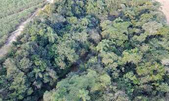 Imagem 6: EXCELENTE SÍTIO A VENDA NA REGIÃO DE SOROCABA - SP* ?? Área Total: 11 Alqueires Agric