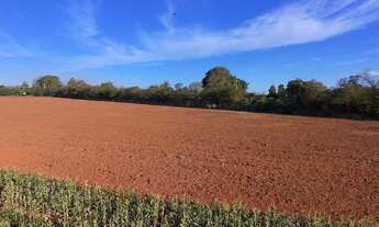 Imagem 5: EXCELENTE SÍTIO A VENDA NA REGIÃO DE SOROCABA - SP* ?? Área Total: 11 Alqueires Agric