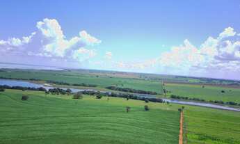 Imagem 3: EXCELENTE FAZENDA EM CANA A VENDA AS MARGENS DO RIO TIETÊ NA REGIÃO DE ARAÇATUBA-SP* ??