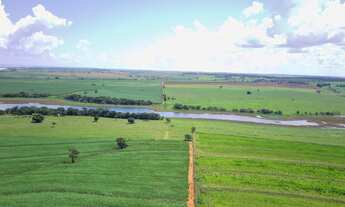 Imagem 2: EXCELENTE FAZENDA EM CANA A VENDA AS MARGENS DO RIO TIETÊ NA REGIÃO DE ARAÇATUBA-SP* ??