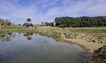 Imagem 2: EXCELENTE SÍTIO COM GRANJA A VENDA EM TATUÍ - SP* ?? Aptidão: Granja de Frango e Gado d