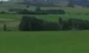 Imagem 3: EXCELENTE FAZENDA A VENDA EM ITAPORANGA - SP* ?? Formação: Agricultura e Pecuária Bovin