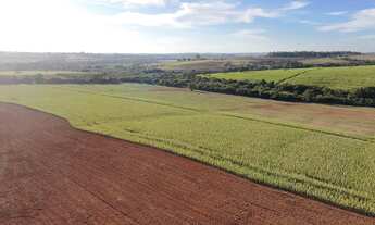 Imagem 7: EXCELENTE SÍTIO A VENDA NA REGIÃO DE SOROCABA - SP* ?? Área Total: 11 Alqueires Agric