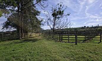 Imagem 3: EXCELENTE SÍTIO COM GRANJA A VENDA EM TATUÍ - SP* ?? Aptidão: Granja de Frango e Gado d