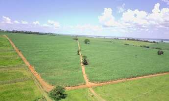 Imagem 7: EXCELENTE FAZENDA EM CANA A VENDA AS MARGENS DO RIO TIETÊ NA REGIÃO DE ARAÇATUBA-SP* ??