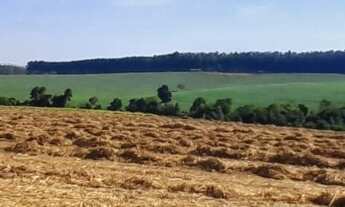 Imagem: Sitio 5 alqueire em boituva a 4 km da cidade