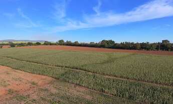 Imagem 3: EXCELENTE SÍTIO A VENDA NA REGIÃO DE SOROCABA - SP* ?? Área Total: 11 Alqueires Agric