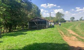Imagem 5: EXCELENTE FAZENDA EM CANA A VENDA AS MARGENS DO RIO TIETÊ NA REGIÃO DE ARAÇATUBA-SP* ??