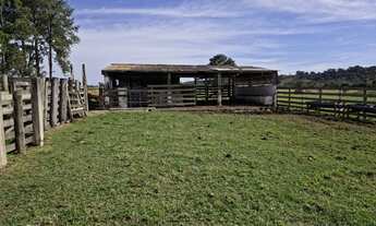 Imagem 7: EXCELENTE SÍTIO COM GRANJA A VENDA EM TATUÍ - SP* ?? Aptidão: Granja de Frango e Gado d
