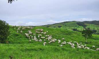 Imagem 4: Fazenda de 238 Alqueires, em Pirenópolis Goiás. 5 km do povoado de Malhador e do asfalt
