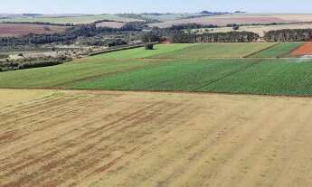 Imagem 3: EXCELENTE FAZENDA A VENDA EM ITAPETININGA- SP* ?? Área Total: 135,96 Hectares ou 56,18