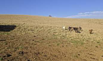 Imagem 7: EXCELENTE FAZENDA A VENDA EM CAPÃO BONITO - SP* ?? Formação: Pecuária de Corte Área T