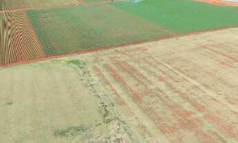 Imagem 4: EXCELENTE FAZENDA A VENDA EM ITAPETININGA- SP* ?? Área Total: 135,96 Hectares ou 56,18